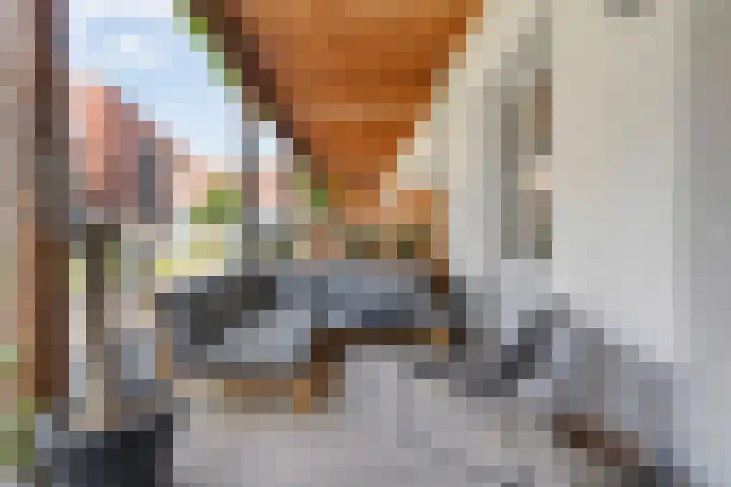 Fenixhof 20 A Zwolle thumbnail 34