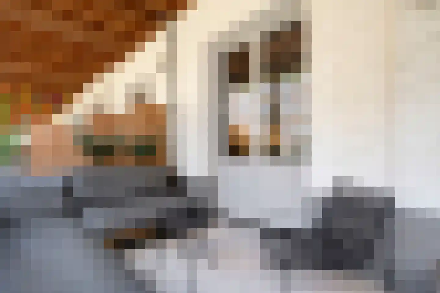 Fenixhof 20 A Zwolle thumbnail 35