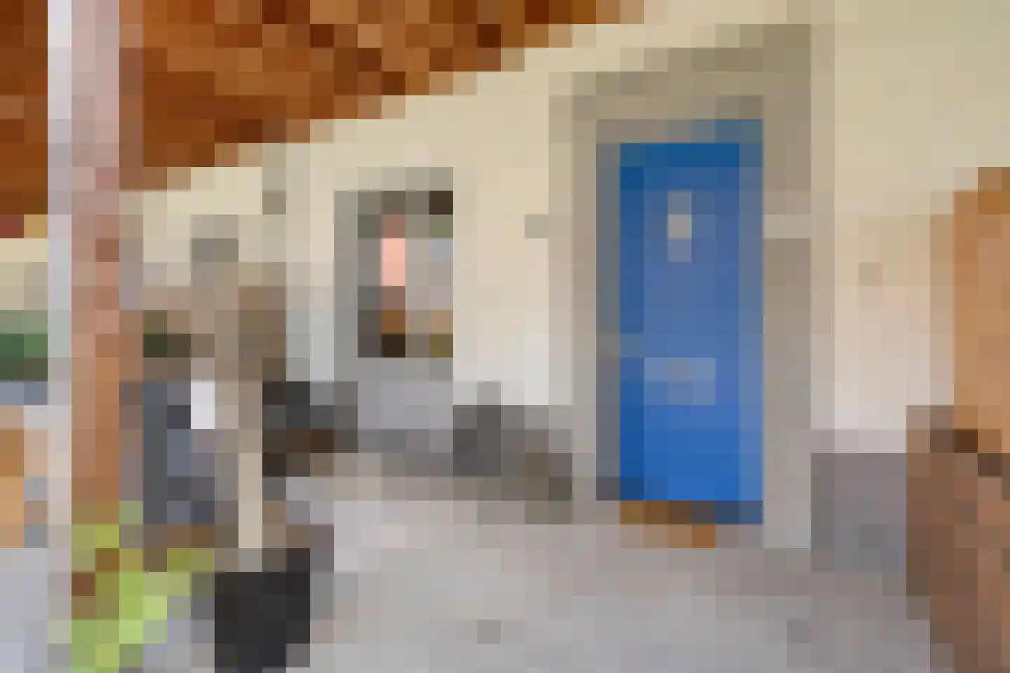 Fenixhof 20 A Zwolle thumbnail 36