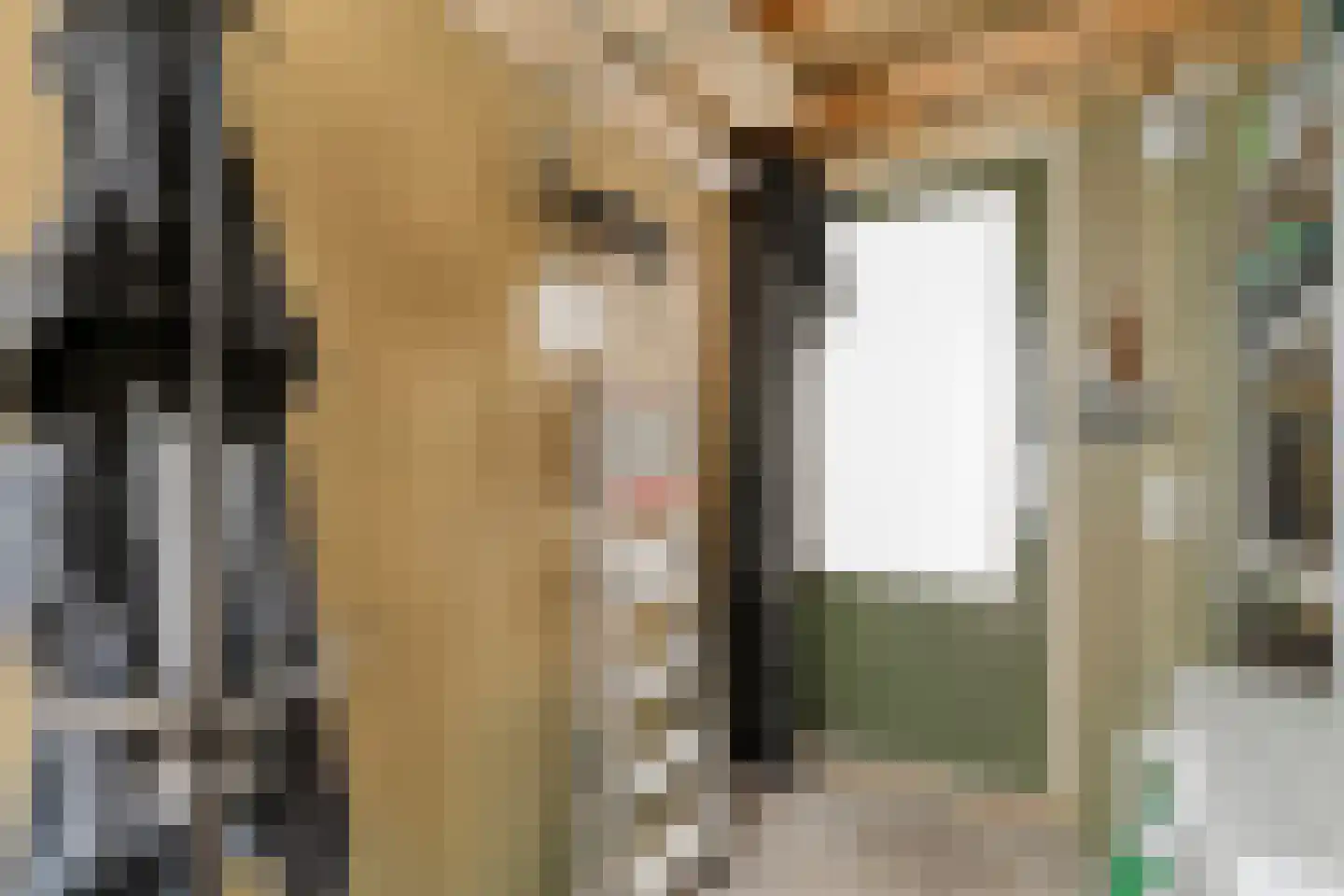 Fenixhof 20 A Zwolle thumbnail 39