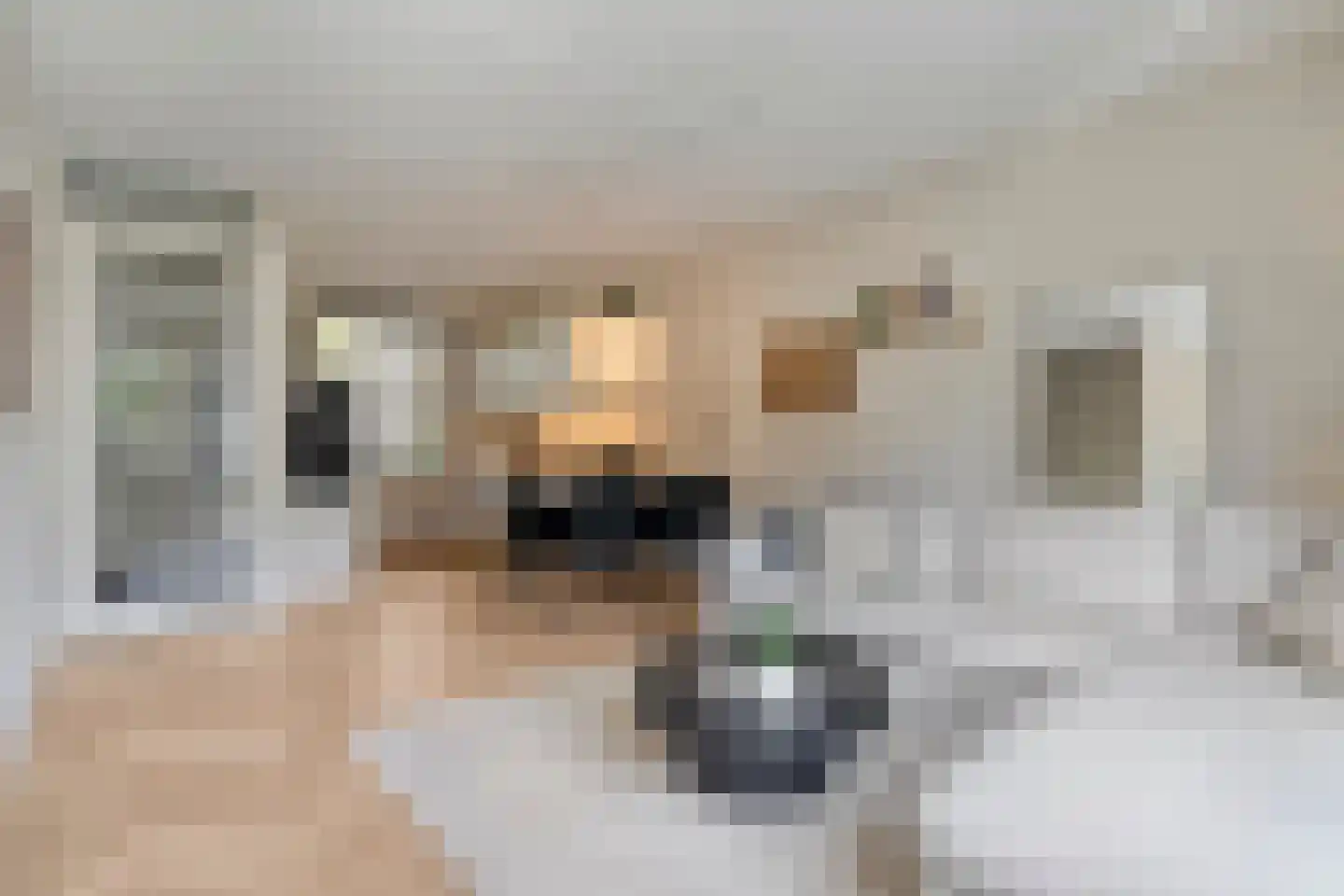 Fenixhof 20 A Zwolle thumbnail 6