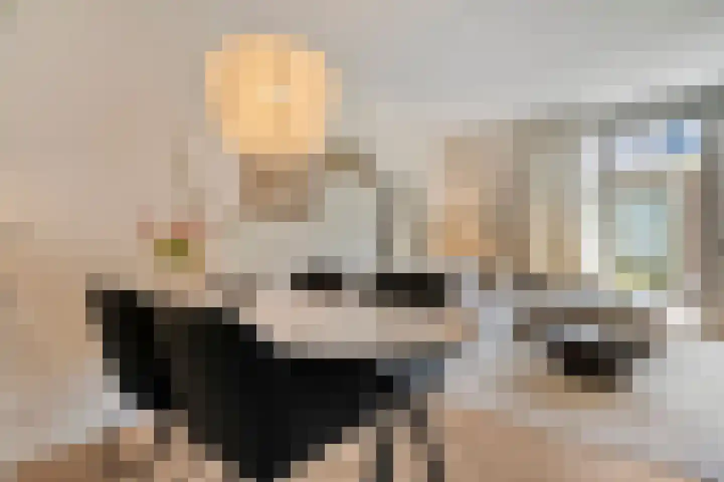 Fenixhof 20 A Zwolle thumbnail 8