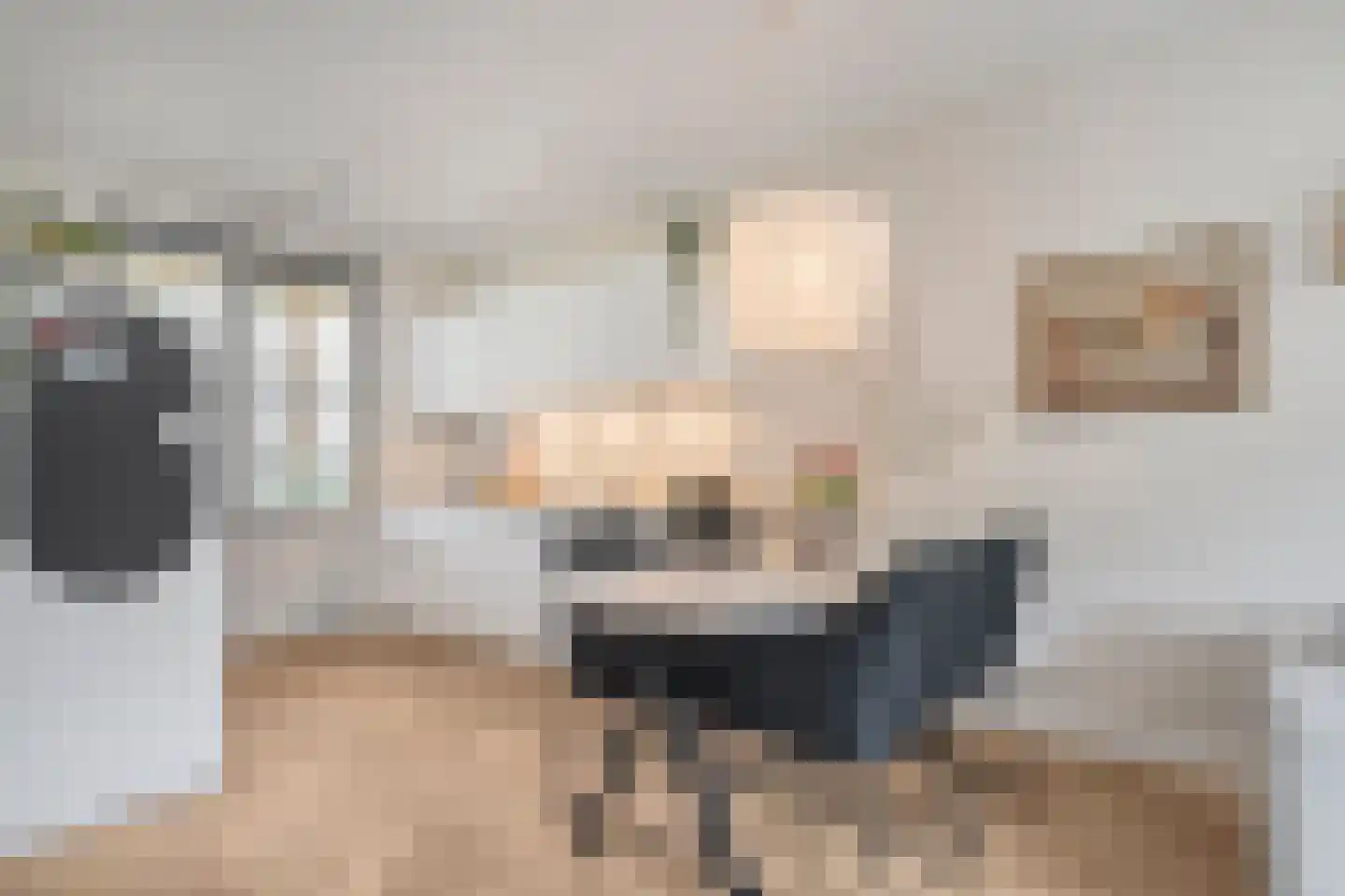 Fenixhof 20 A Zwolle thumbnail 9