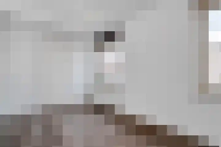 Fenixhof 6 Zwolle thumbnail 19