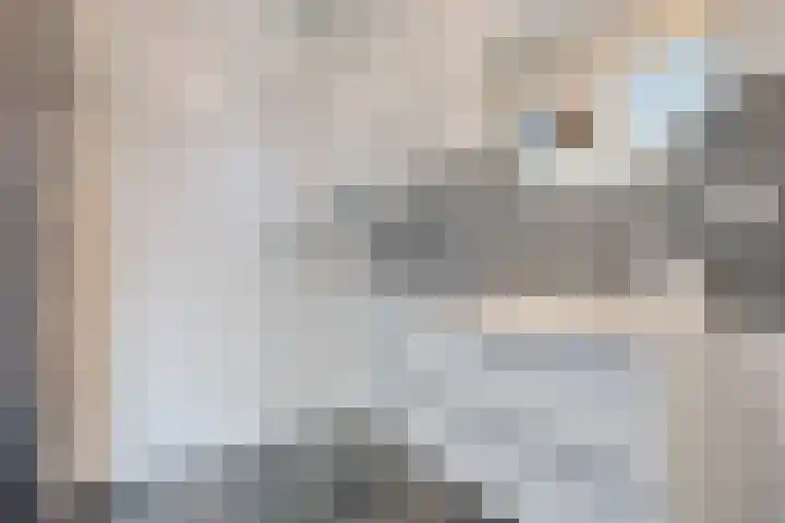 Fenixhof 6 Zwolle thumbnail 21