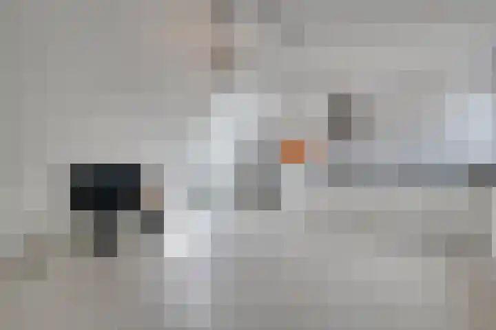 Fenixhof 6 Zwolle thumbnail 24