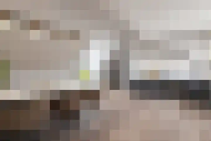 Fenixhof 6 Zwolle thumbnail 25