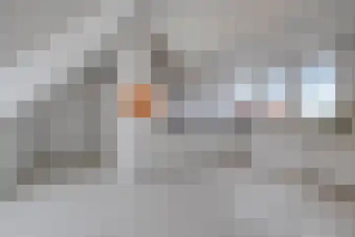 Fenixhof 6 Zwolle thumbnail 26
