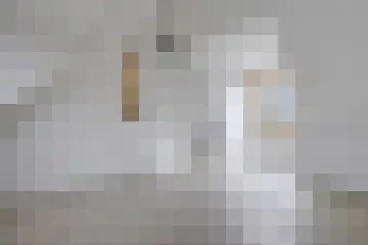 Fenixhof 6 Zwolle thumbnail 33
