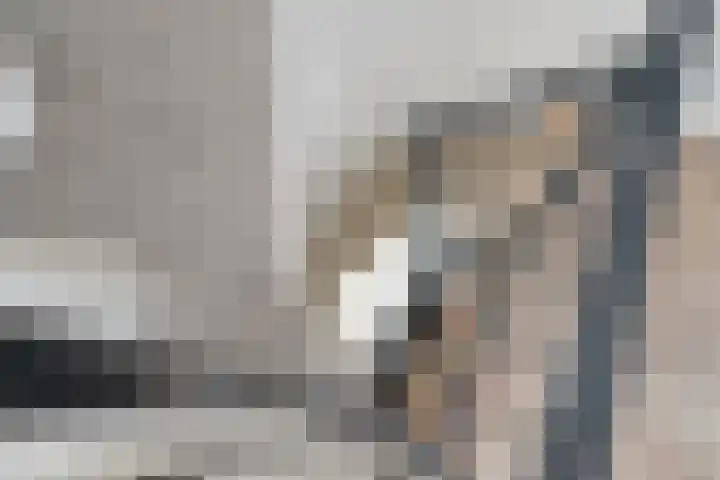 Fenixhof 6 Zwolle thumbnail 35