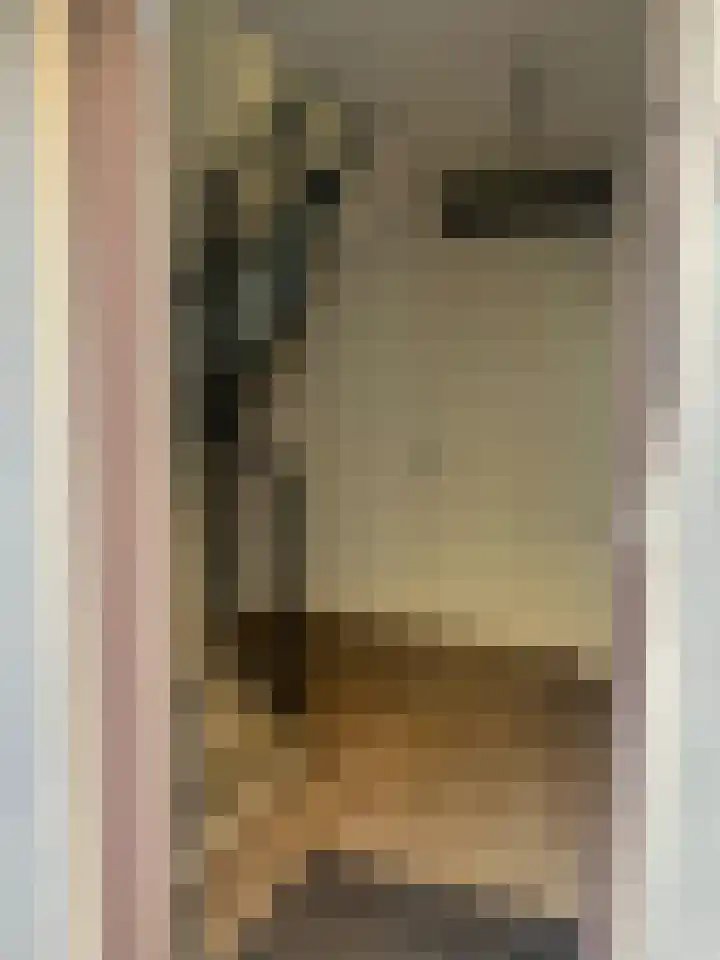Fenixhof 6 Zwolle thumbnail 36
