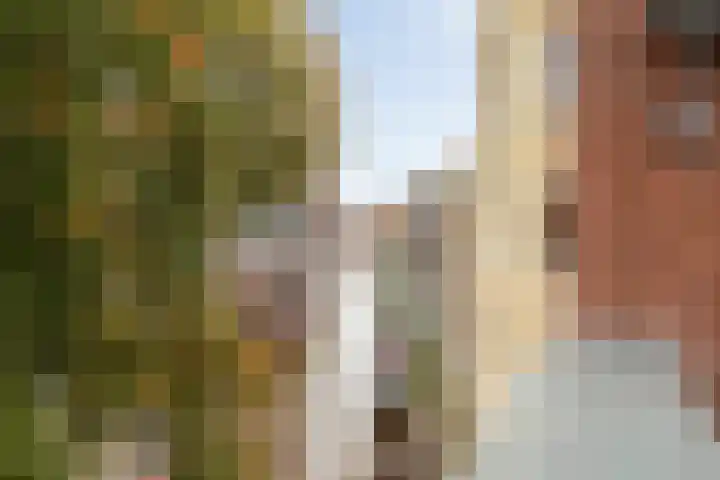 Fenixhof 6 Zwolle thumbnail 40