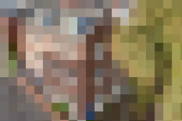 Fenixhof 6 Zwolle thumbnail 44