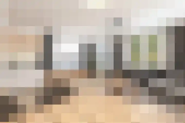 Fenixhof 6 Zwolle thumbnail 6