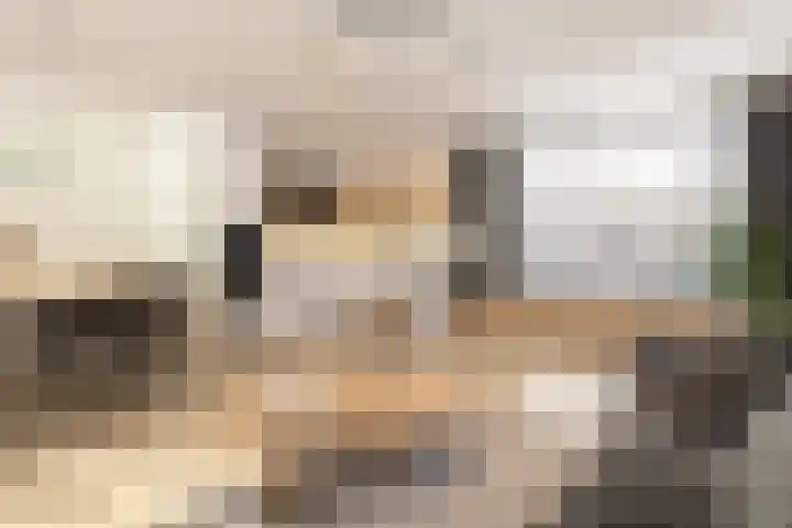 Fenixhof 6 Zwolle thumbnail 8