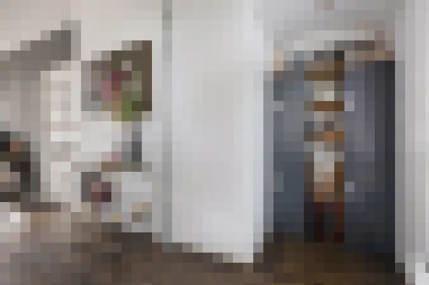 Fenkelstraat 21 Oudenbosch thumbnail 10