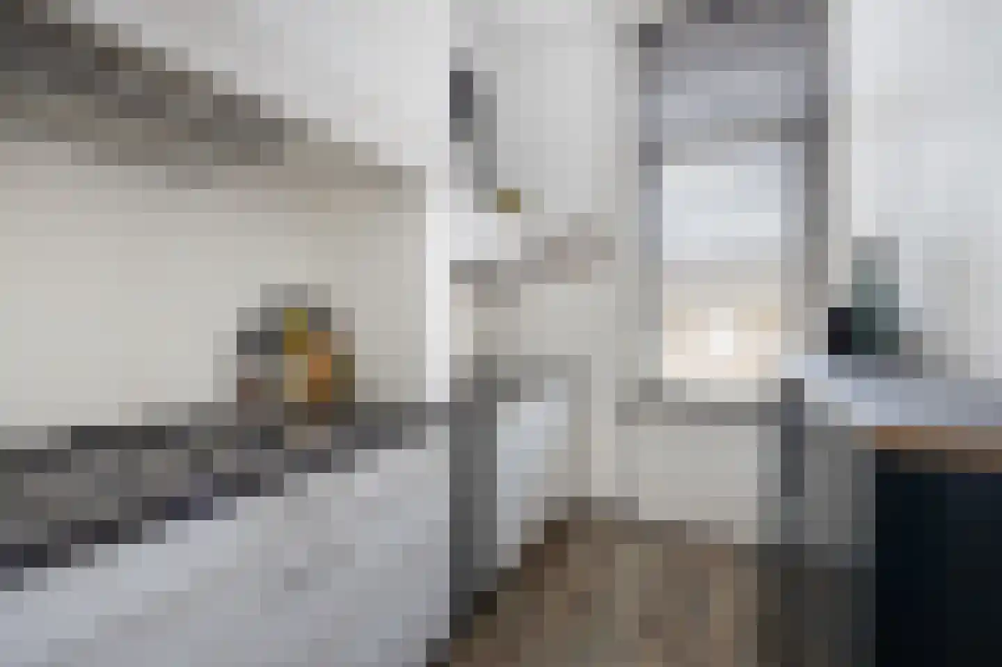 Fenkelstraat 21 Oudenbosch thumbnail 13