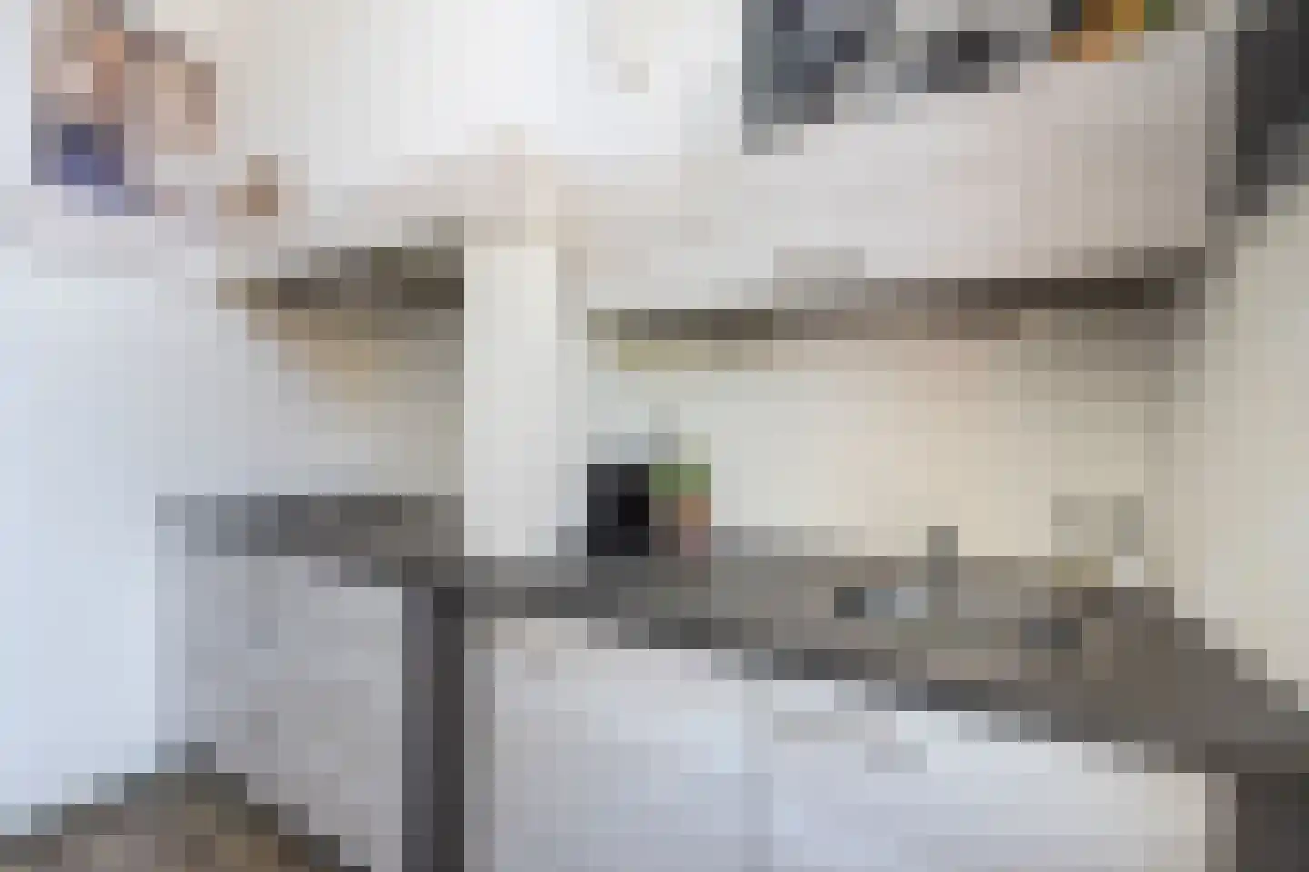 Fenkelstraat 21 Oudenbosch thumbnail 14