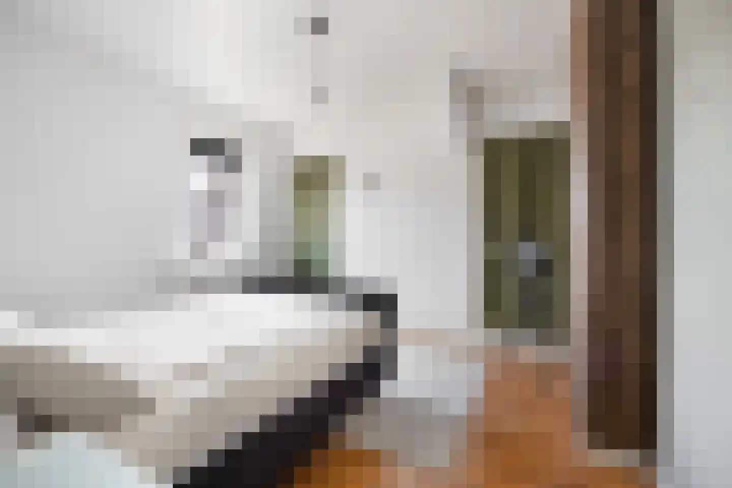 Fenkelstraat 21 Oudenbosch thumbnail 16