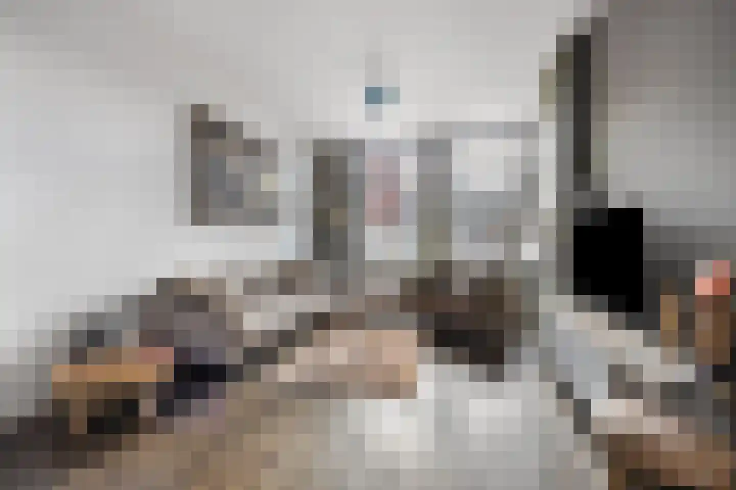 Fenkelstraat 21 Oudenbosch thumbnail 4
