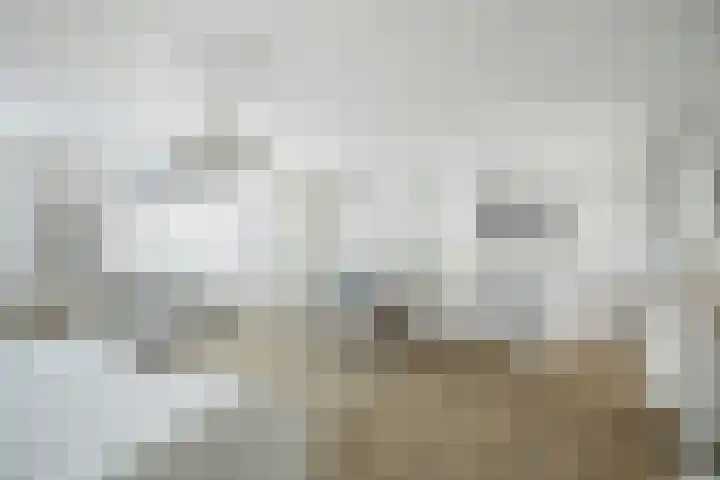 Fenkelstraat 6 Oudenbosch thumbnail 23