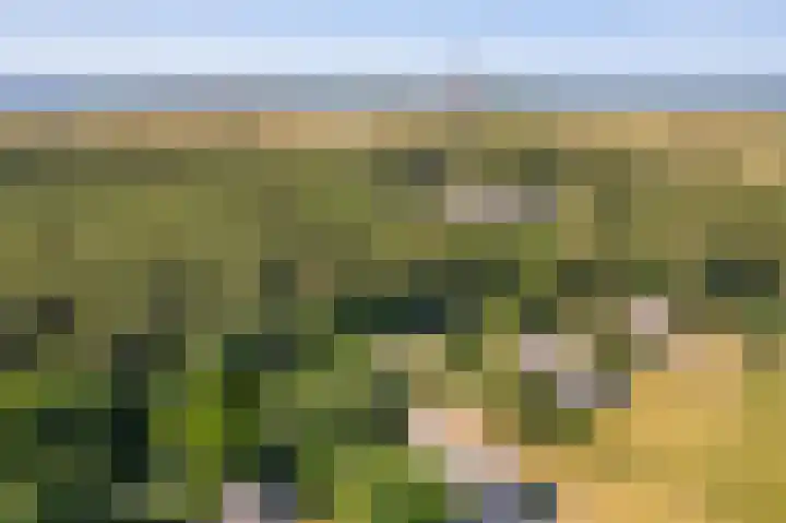 Fenneweg 3 Hollum thumbnail 10