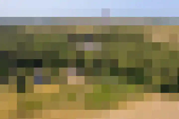 Fenneweg 3 Hollum thumbnail 11
