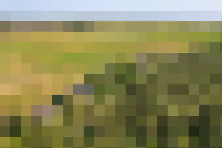 Fenneweg 3 Hollum thumbnail 12