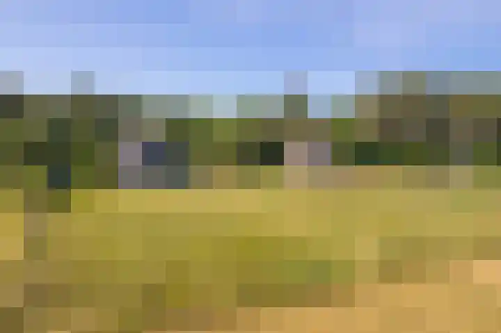 Fenneweg 3 Hollum foto 2