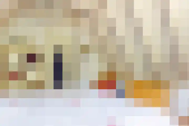 Fenneweg 3 Hollum thumbnail 32