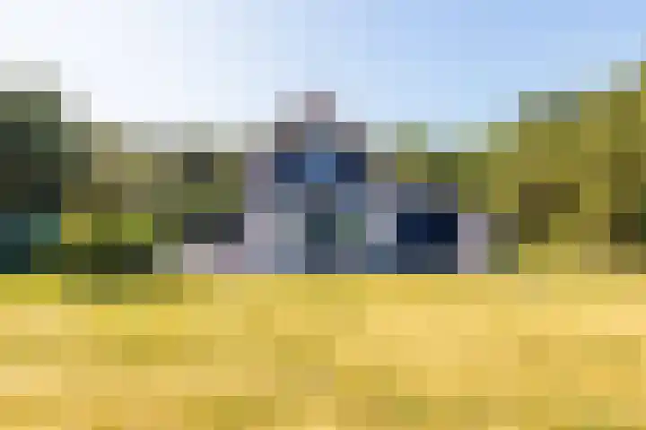 Fenneweg 3 Hollum thumbnail 47