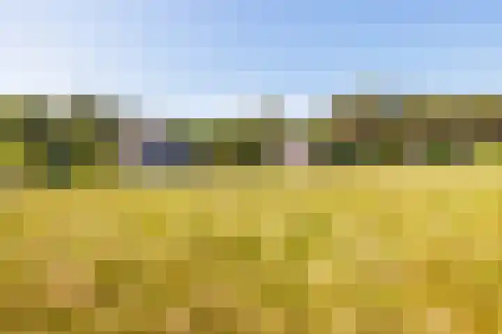 Fenneweg 3 Hollum thumbnail 48