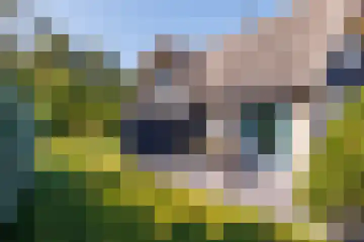 Fenneweg 3 Hollum thumbnail 50