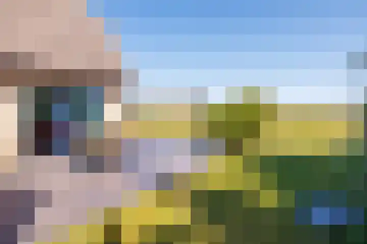 Fenneweg 3 Hollum thumbnail 52