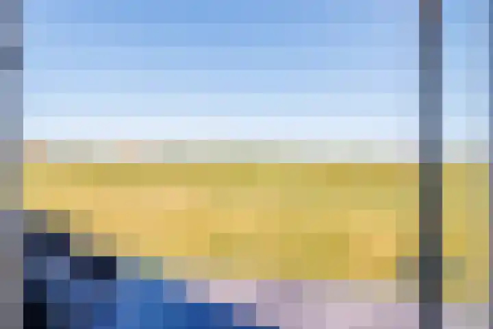 Fenneweg 3 Hollum thumbnail 53