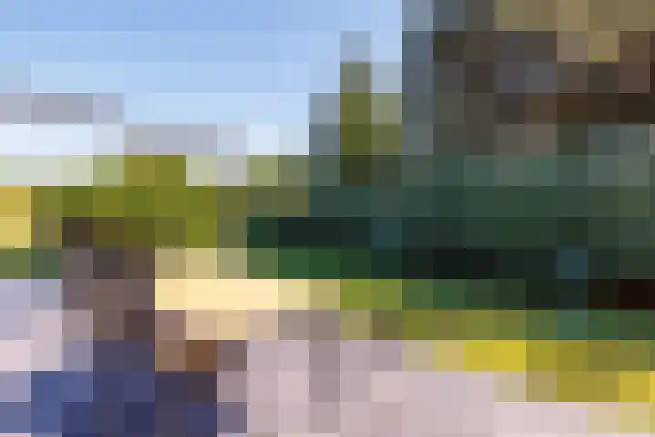 Fenneweg 3 Hollum thumbnail 55