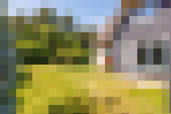 Fenneweg 3 Hollum thumbnail 56
