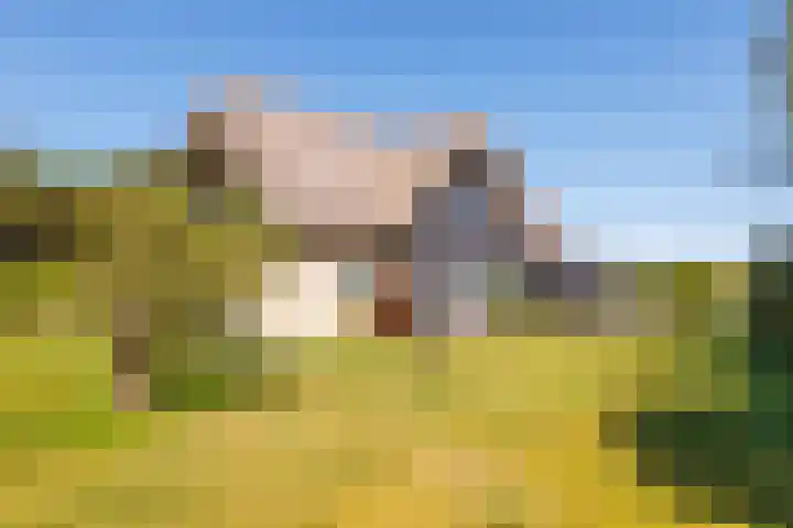 Fenneweg 3 Hollum thumbnail 57