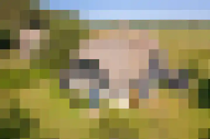 Fenneweg 3 Hollum thumbnail 7