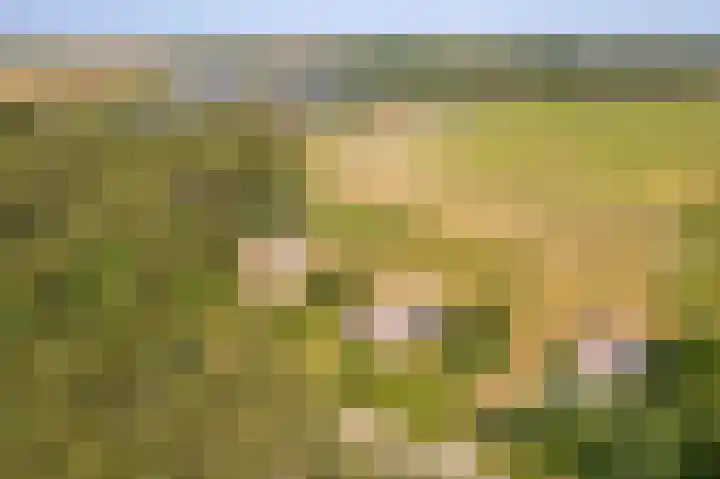 Fenneweg 3 Hollum thumbnail 8