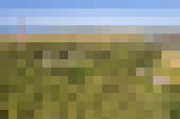 Fenneweg 3 Hollum thumbnail 9