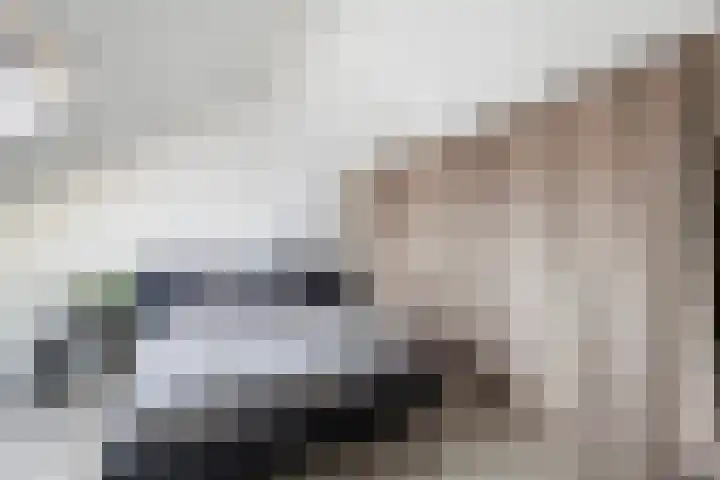 Ferdinand Boersmastraat 3 Hengelo thumbnail 26