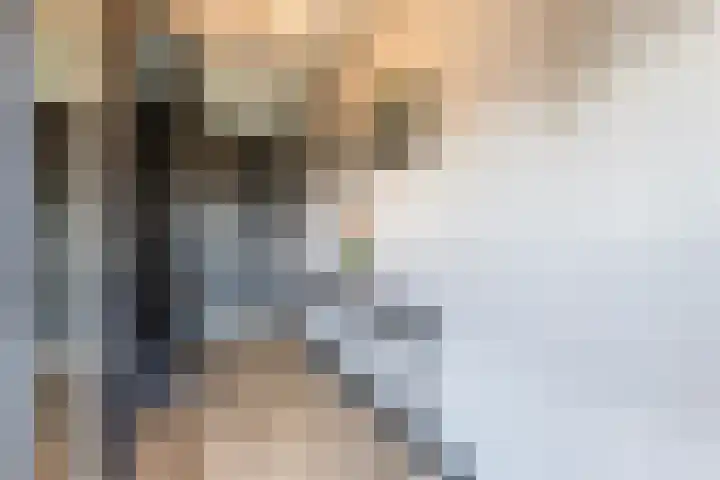 Ferdinand Boersmastraat 3 Hengelo thumbnail 8