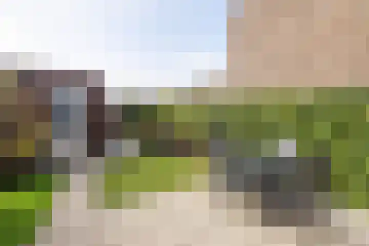 Ferdinand Boersmastraat 36 Hengelo thumbnail 23