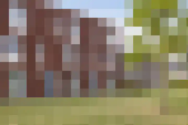 Ferdinand Boersmastraat 36 Hengelo thumbnail 33