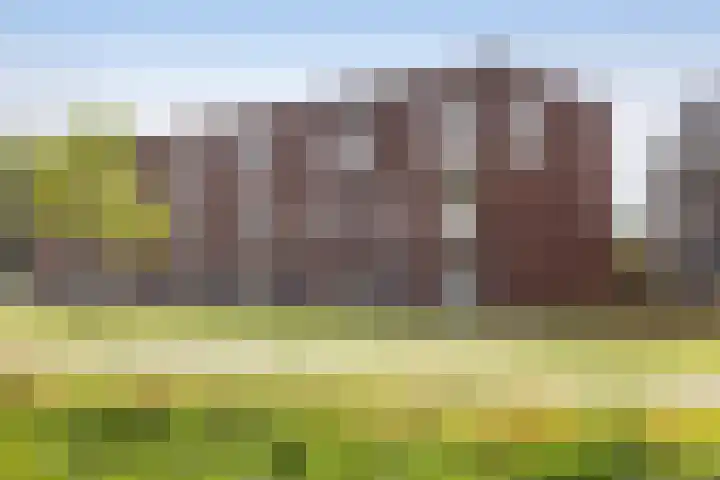 Ferdinand Boersmastraat 36 Hengelo thumbnail 34