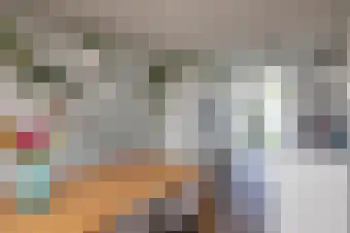 Ferdinand Boersmastraat 36 Hengelo thumbnail 8