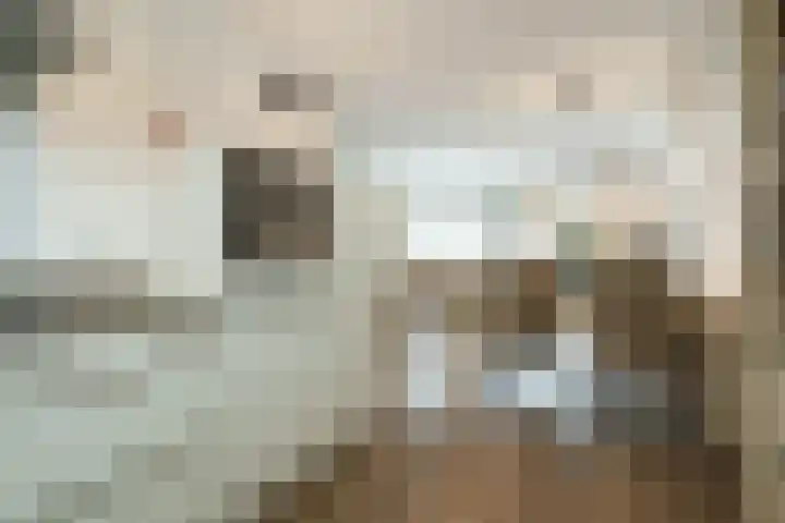 Ferdinand Bolhage 2 Nieuwegein thumbnail 12