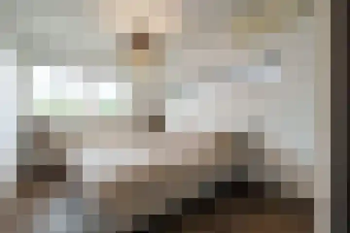 Ferdinand Bolhage 2 Nieuwegein thumbnail 13