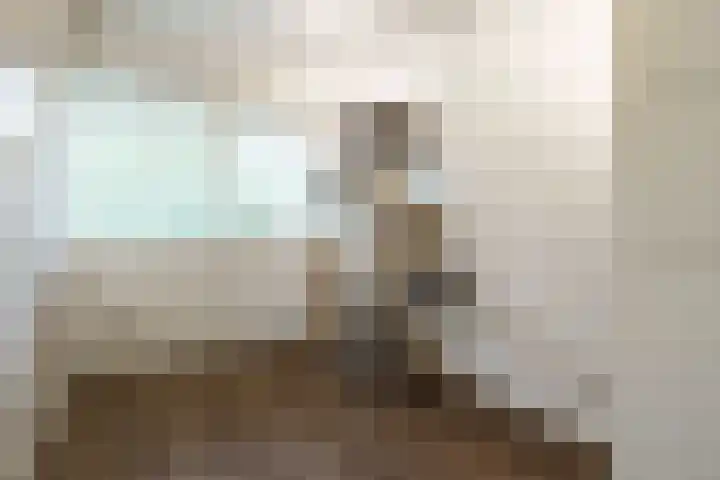 Ferdinand Bolhage 2 Nieuwegein thumbnail 15